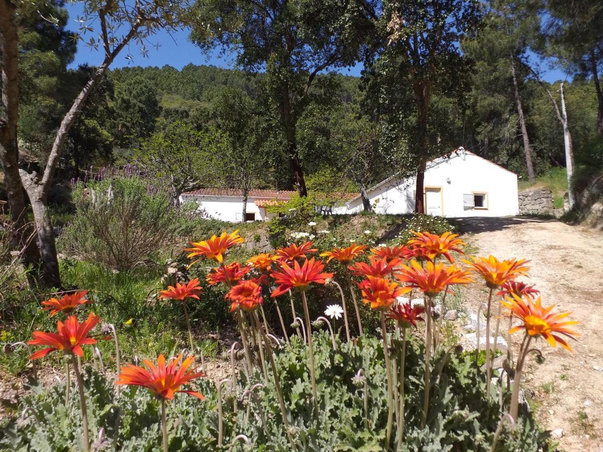 Quinta Da Barroquinha Guest House Vale de Prazeres Екстериор снимка