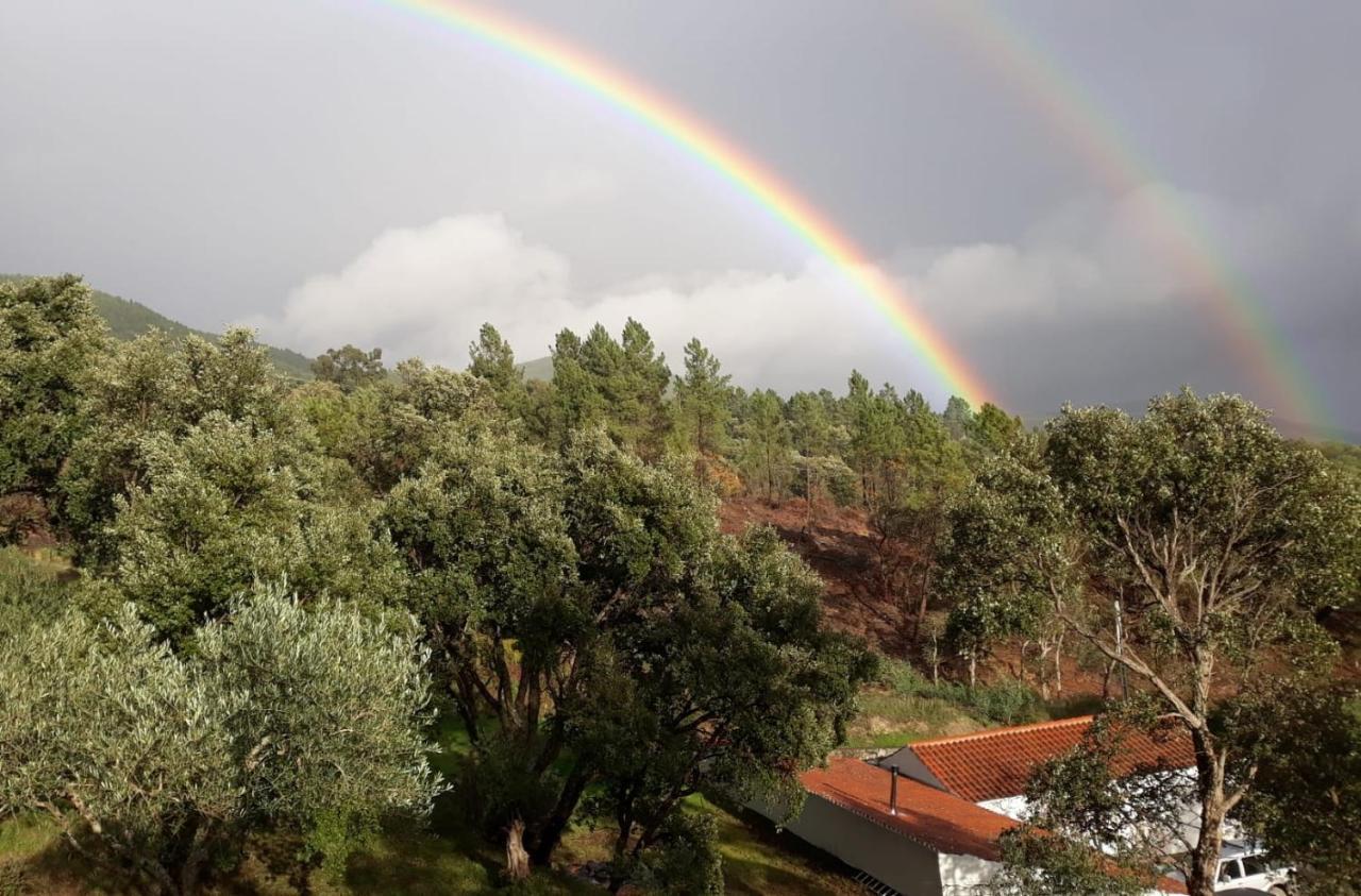 Quinta Da Barroquinha Guest House Vale de Prazeres Екстериор снимка