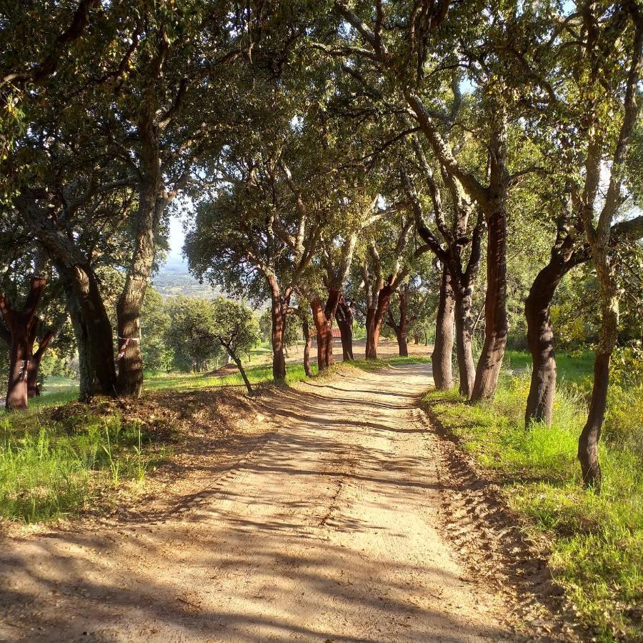 Quinta Da Barroquinha Guest House Vale de Prazeres Екстериор снимка