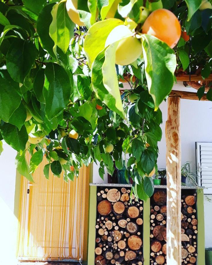 Quinta Da Barroquinha Guest House Vale de Prazeres Екстериор снимка